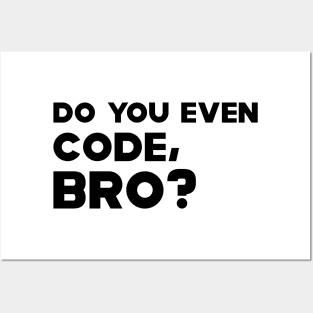 Coder - Do you even code, bro? Posters and Art